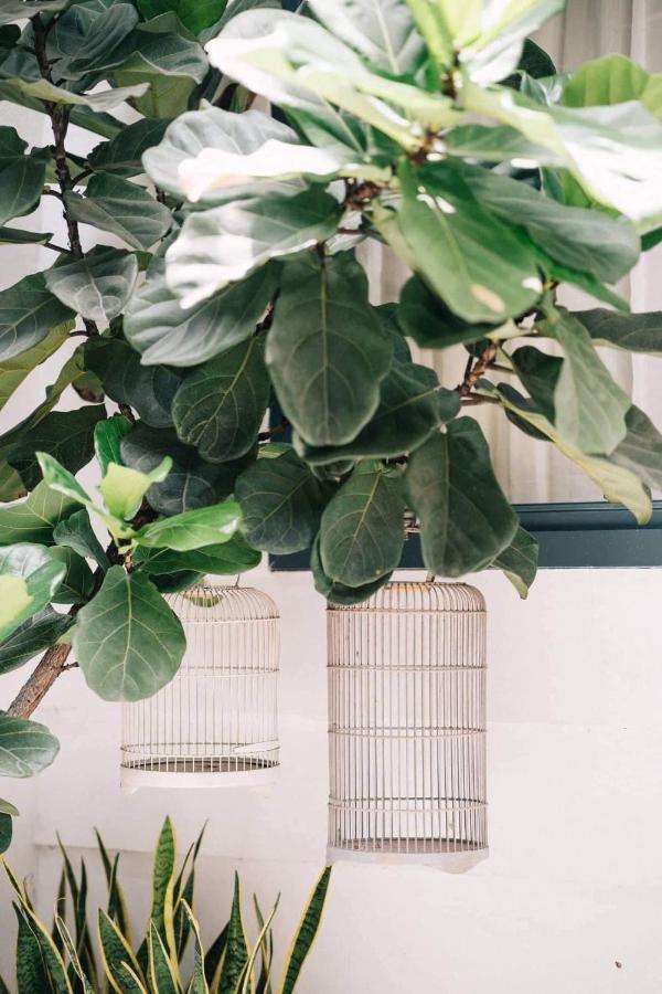 Lily Hostel Ho Chi Minh-stad Buitenkant foto